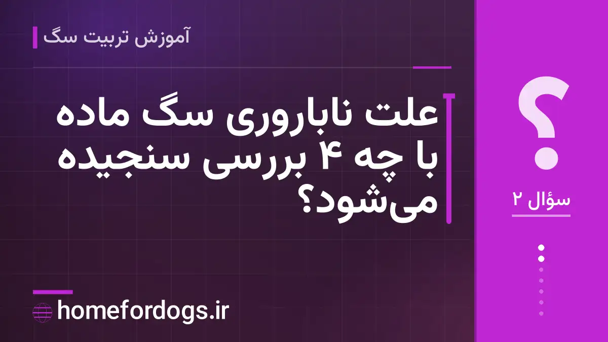 علت ناباروری سگ ماده با چه ۴ بررسی سنجیده می‌شود؟