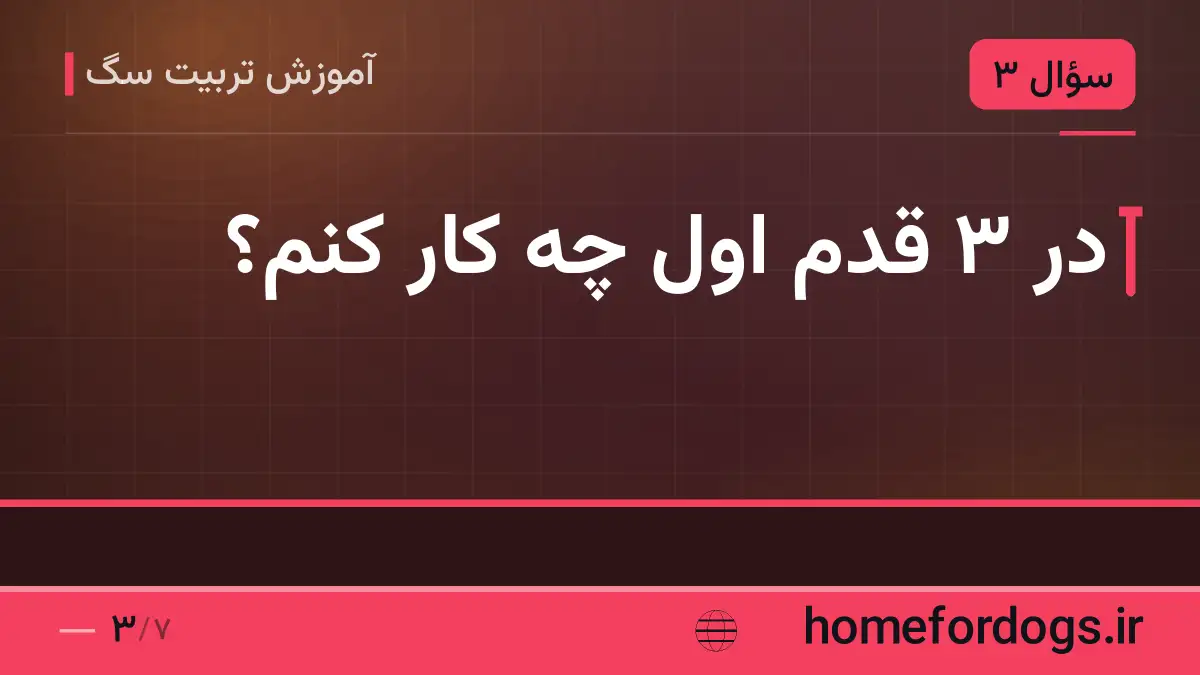 در ۳ قدم اول چه کار کنم؟
