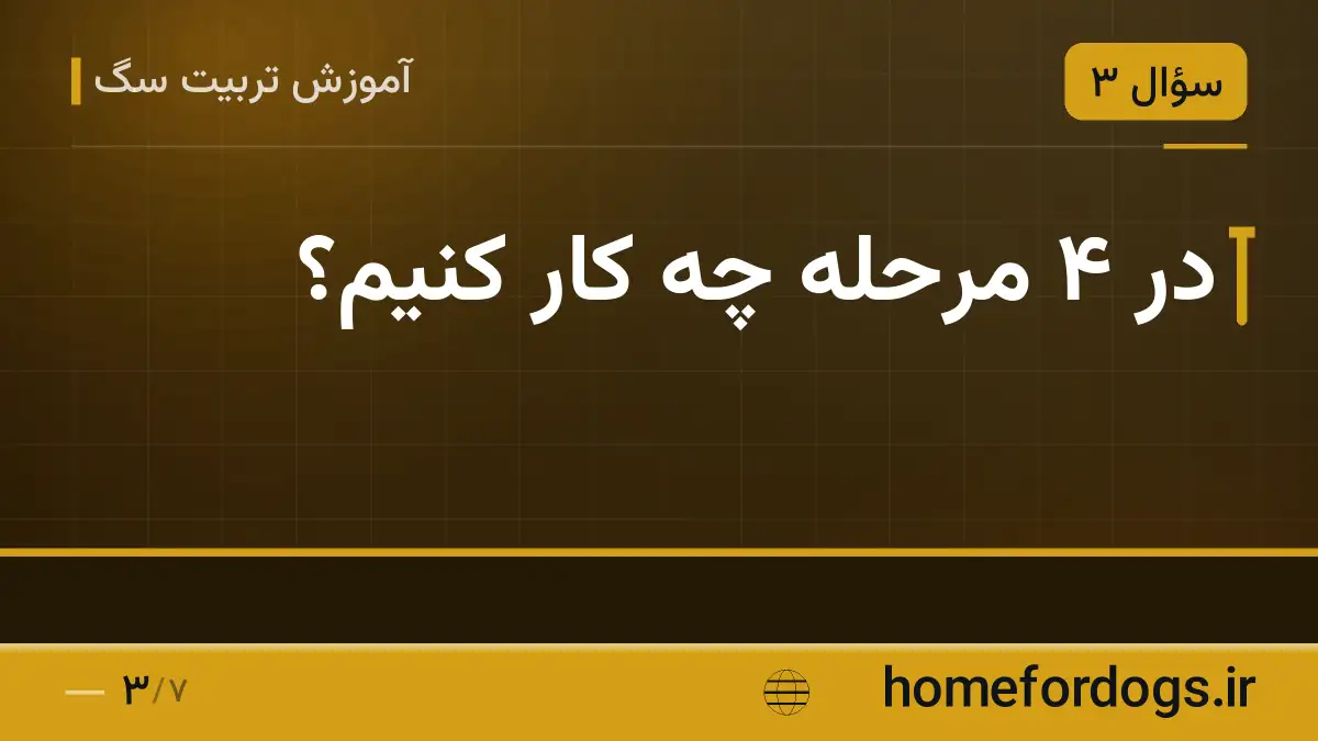 در ۴ مرحله چه کار کنیم؟