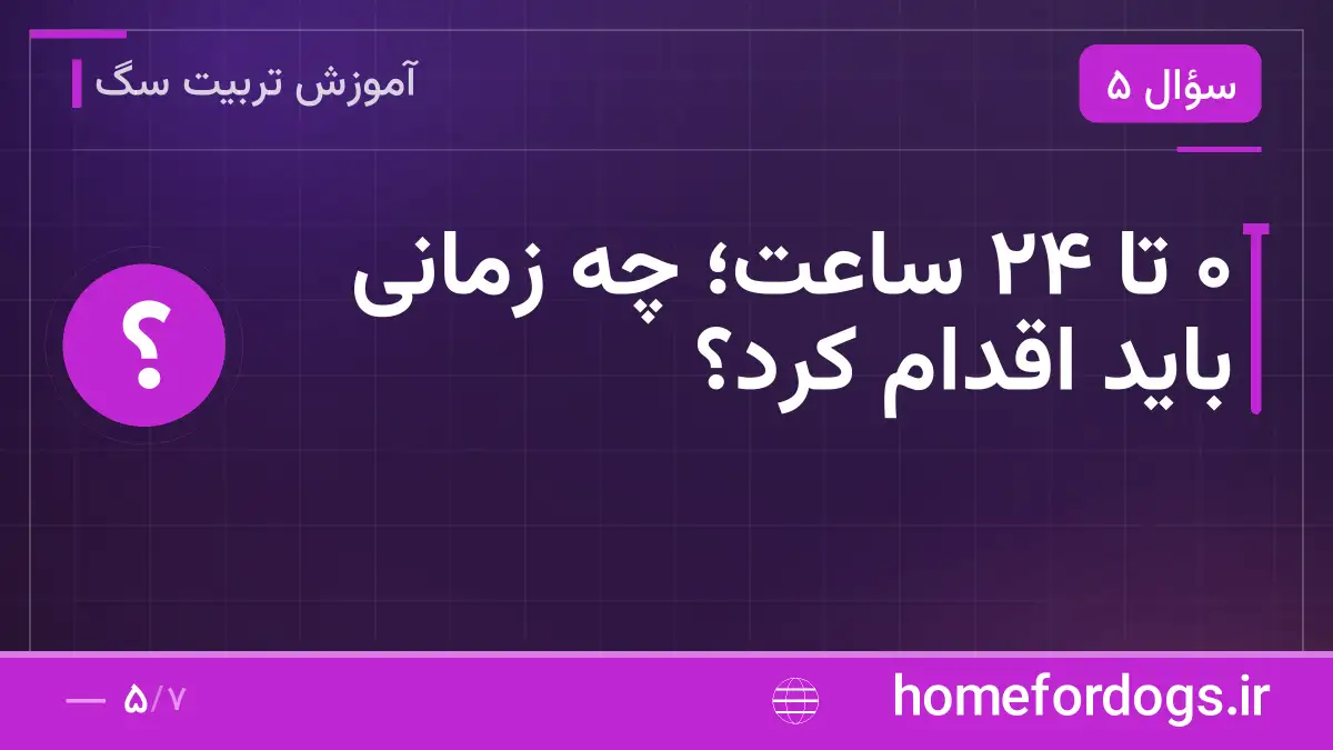 ۰ تا ۲۴ ساعت؛ چه زمانی باید اقدام کرد؟