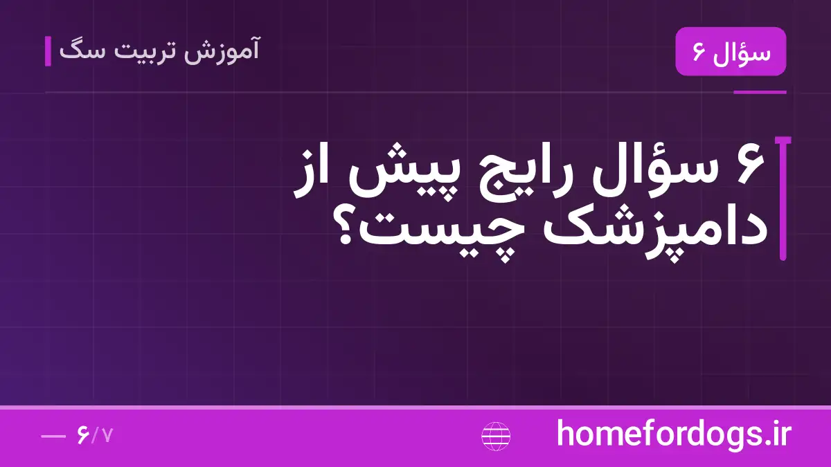 ۶ سؤال رایج پیش از دامپزشک چیست؟