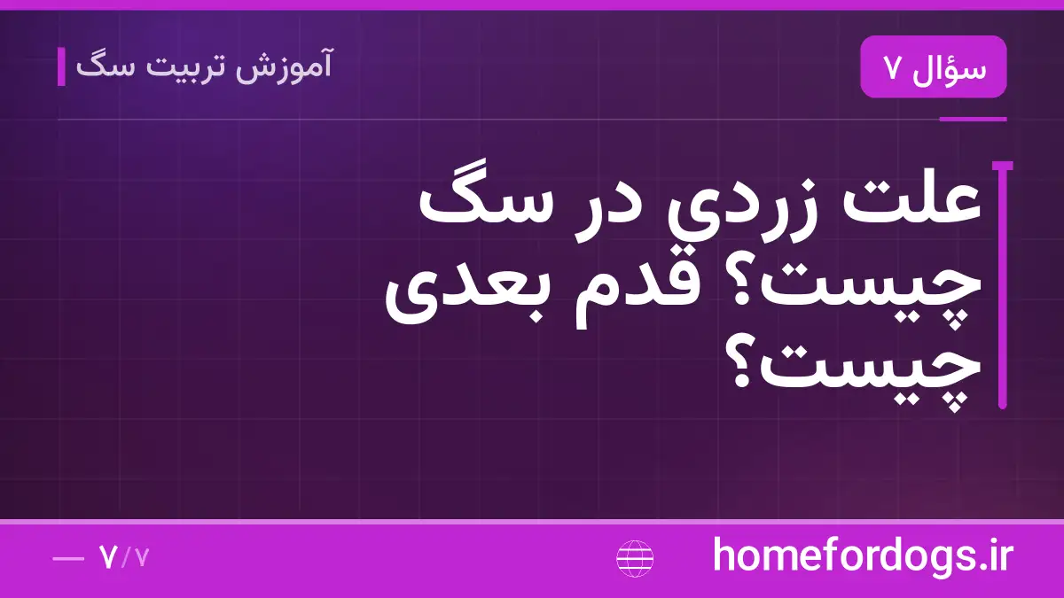 علت زردی در سگ چیست؟ قدم بعدی چیست؟