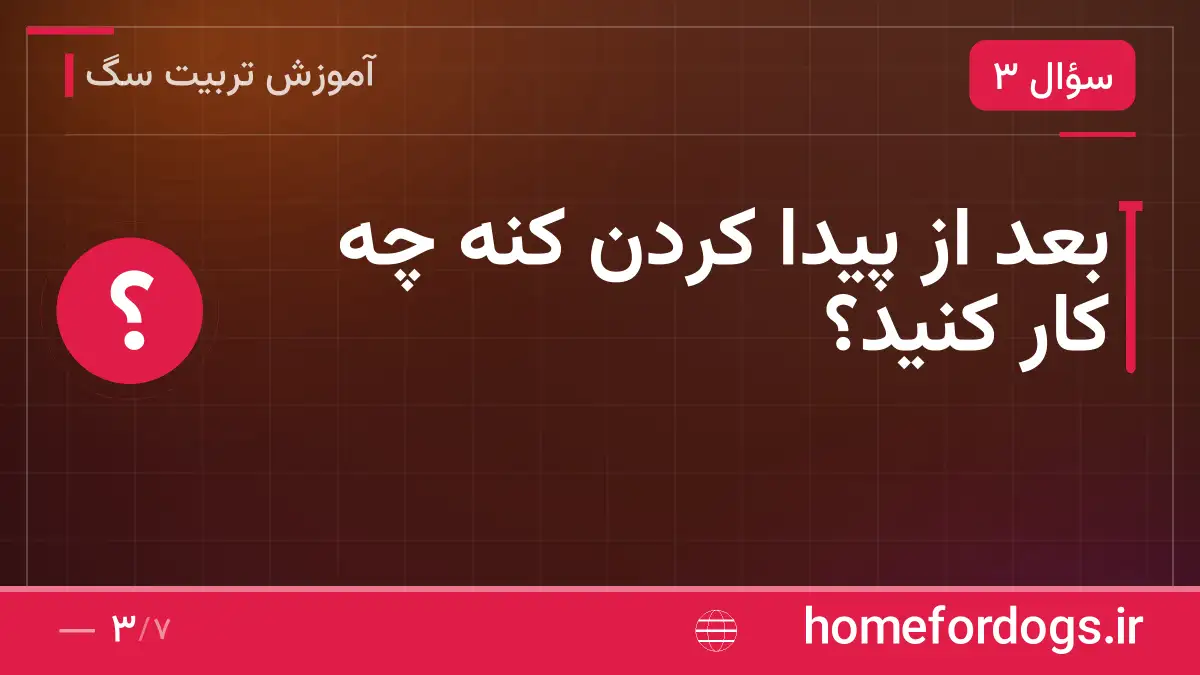 بعد از پیدا کردن کنه چه کار کنید؟