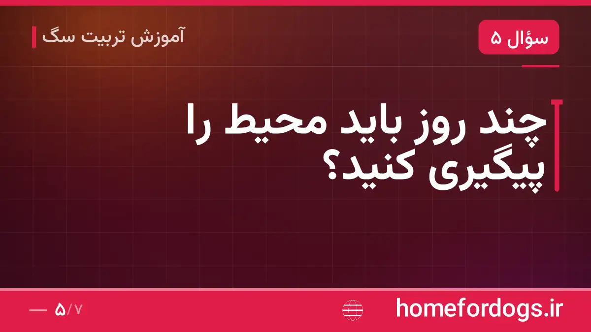 چند روز باید محیط را پیگیری کنید؟