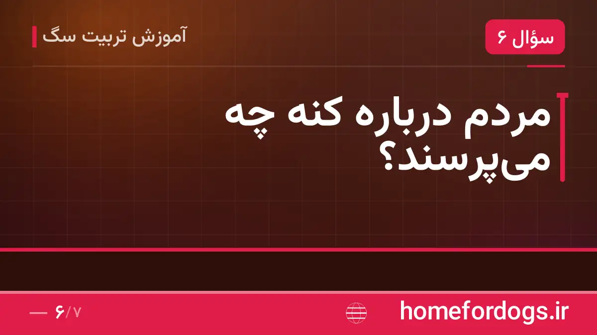 مردم دربارهٔ کنه چه می‌پرسند؟