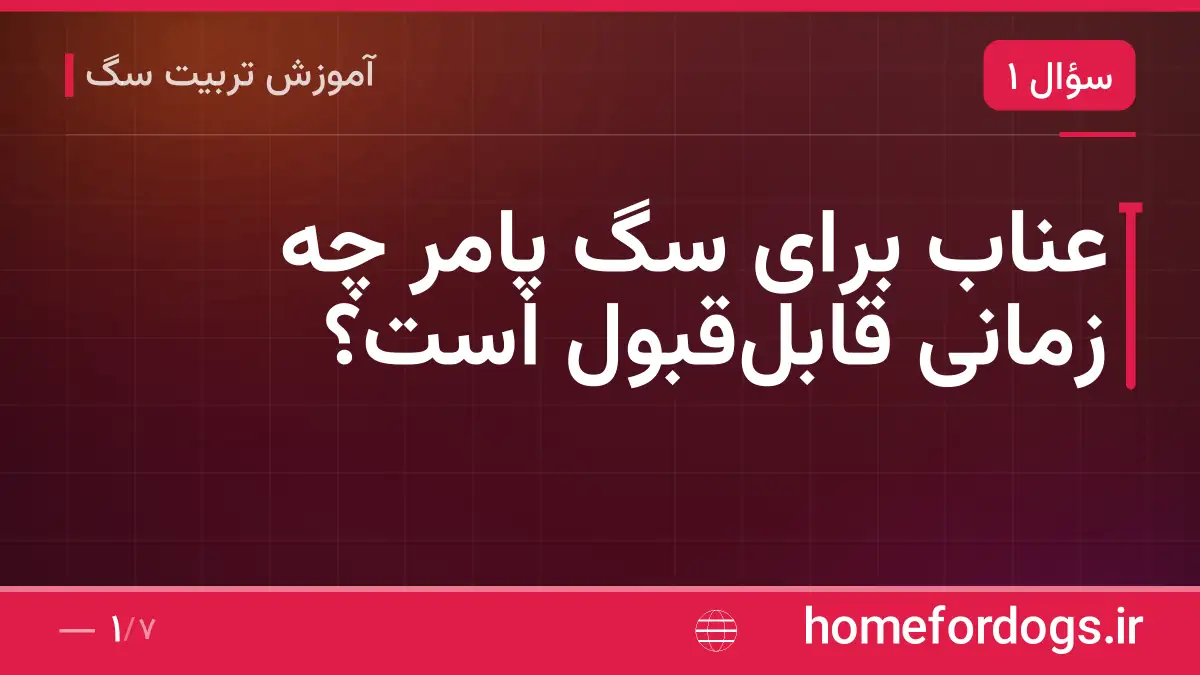 عناب برای سگ پامر چه زمانی قابلقبول است؟