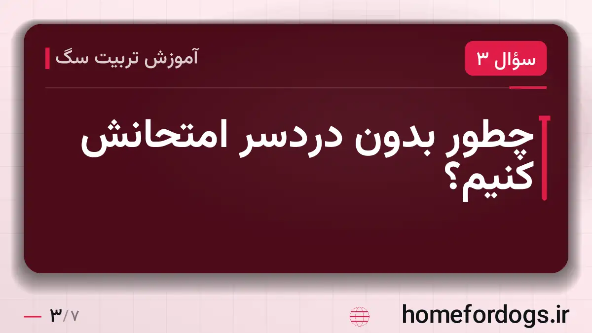 چطور بدون دردسر امتحانش کنیم؟