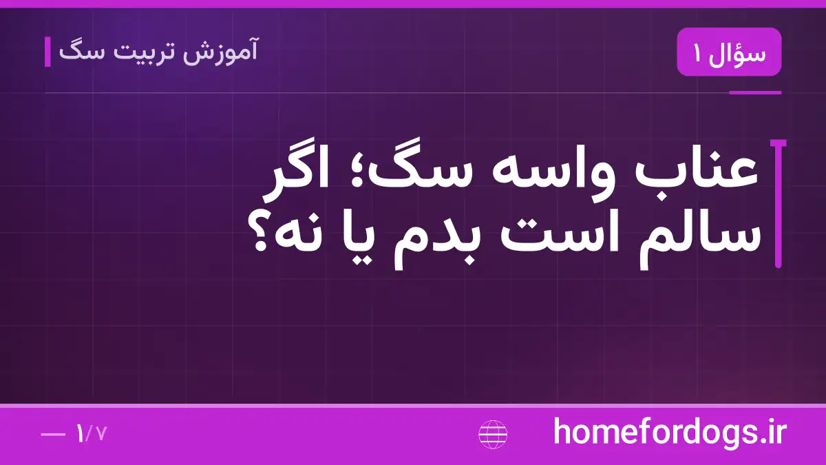 عناب واسه سگ؛ اگر سالم است بدم یا نه؟