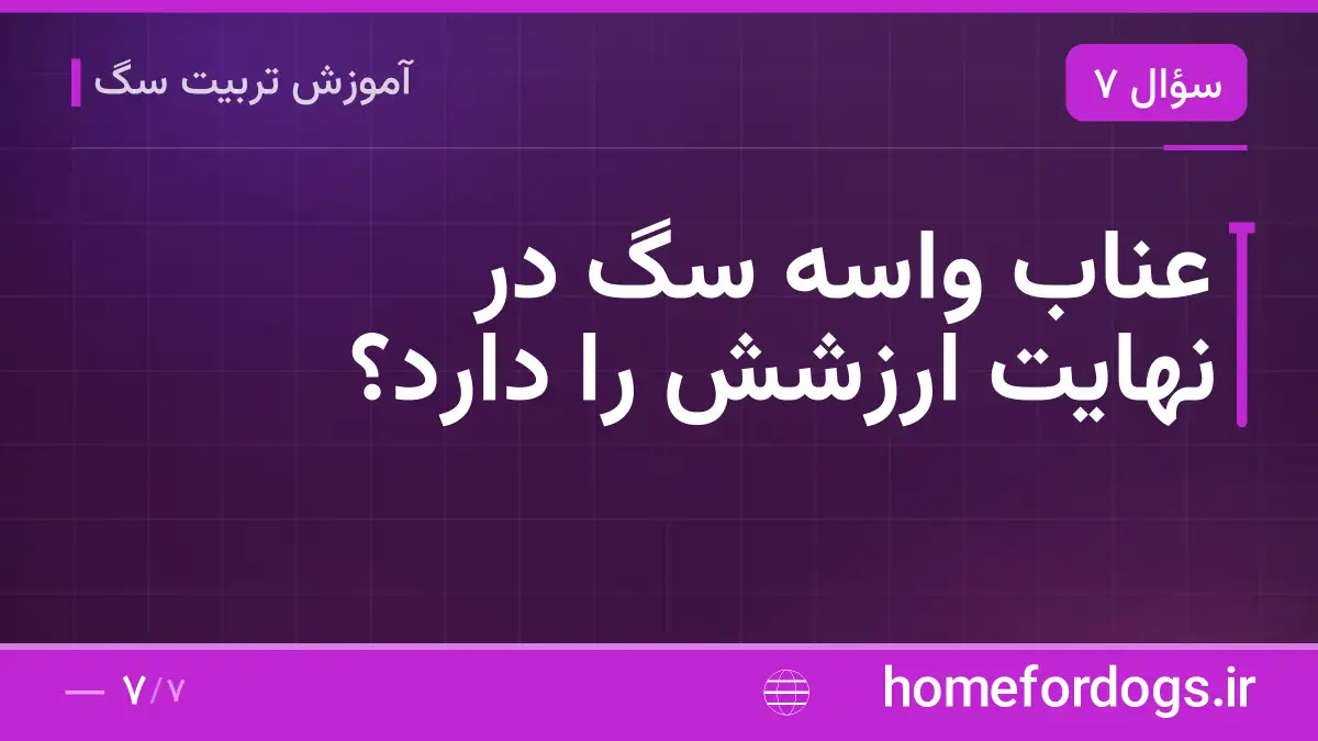 عناب واسه سگ در نهایت ارزشش را دارد؟