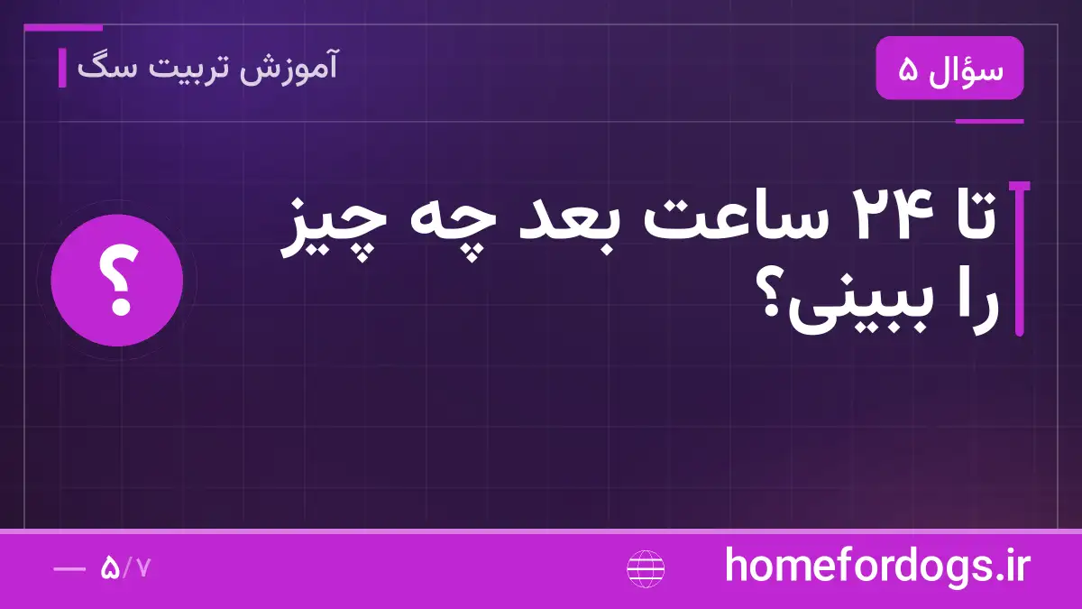 تا ۲۴ ساعت بعد چه چیز را ببینی؟