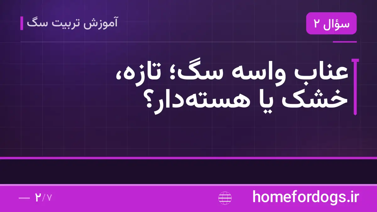 عناب واسه سگ؛ تازه، خشک یا هستهدار؟