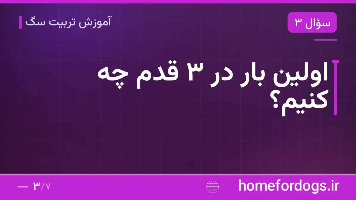 اولین بار در ۳ قدم چه کنیم؟