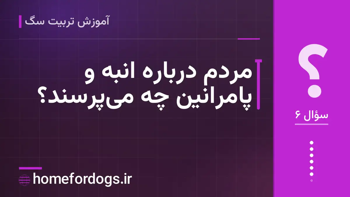 مردم درباره انبه و پامرانین چه می‌پرسند؟