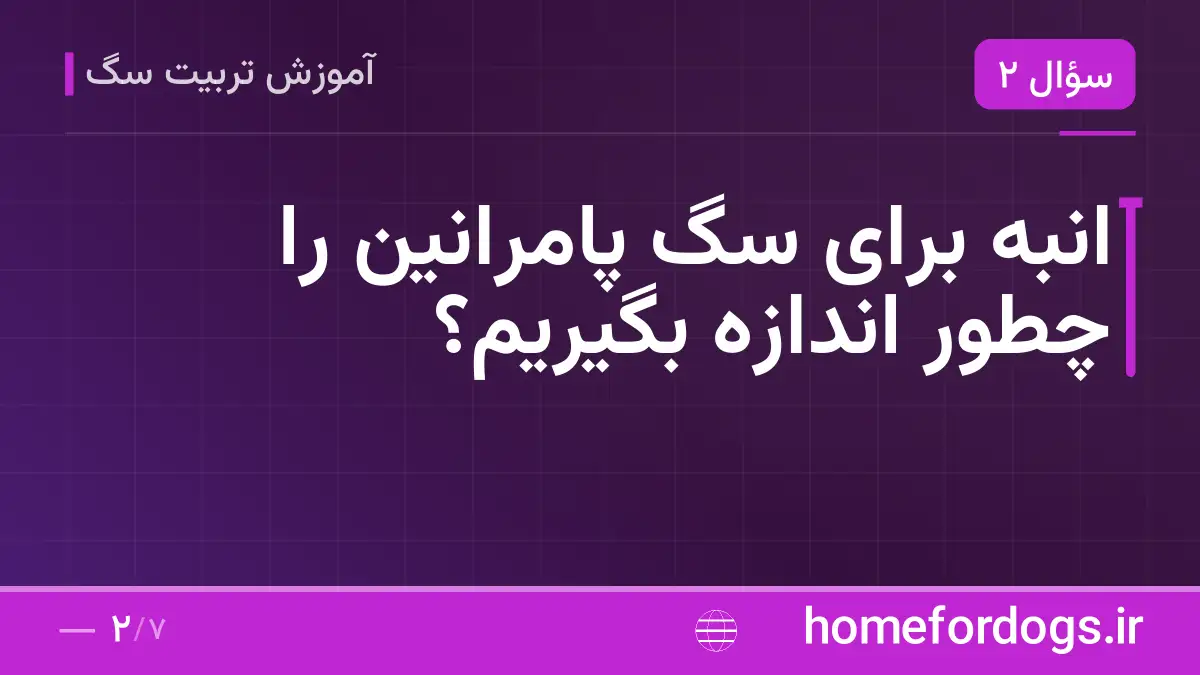 انبه برای سگ پامرانین را چطور اندازه بگیریم؟