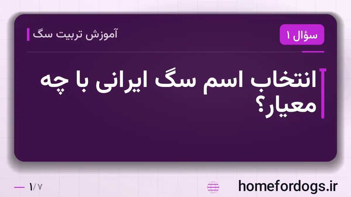 انتخاب اسم سگ ایرانی با چه معیار؟