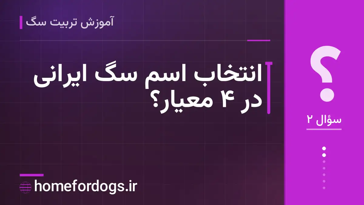 انتخاب اسم سگ ایرانی در ۴ معیار؟
