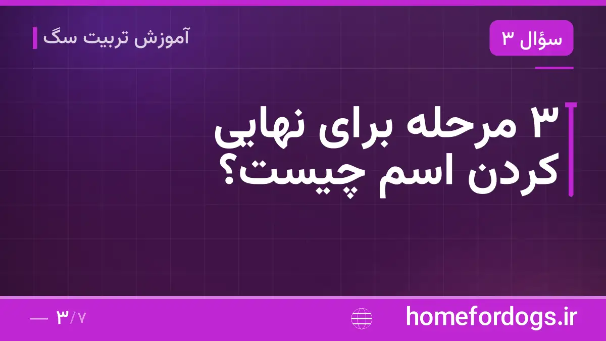 ۳ مرحله برای نهایی کردن اسم چیست؟