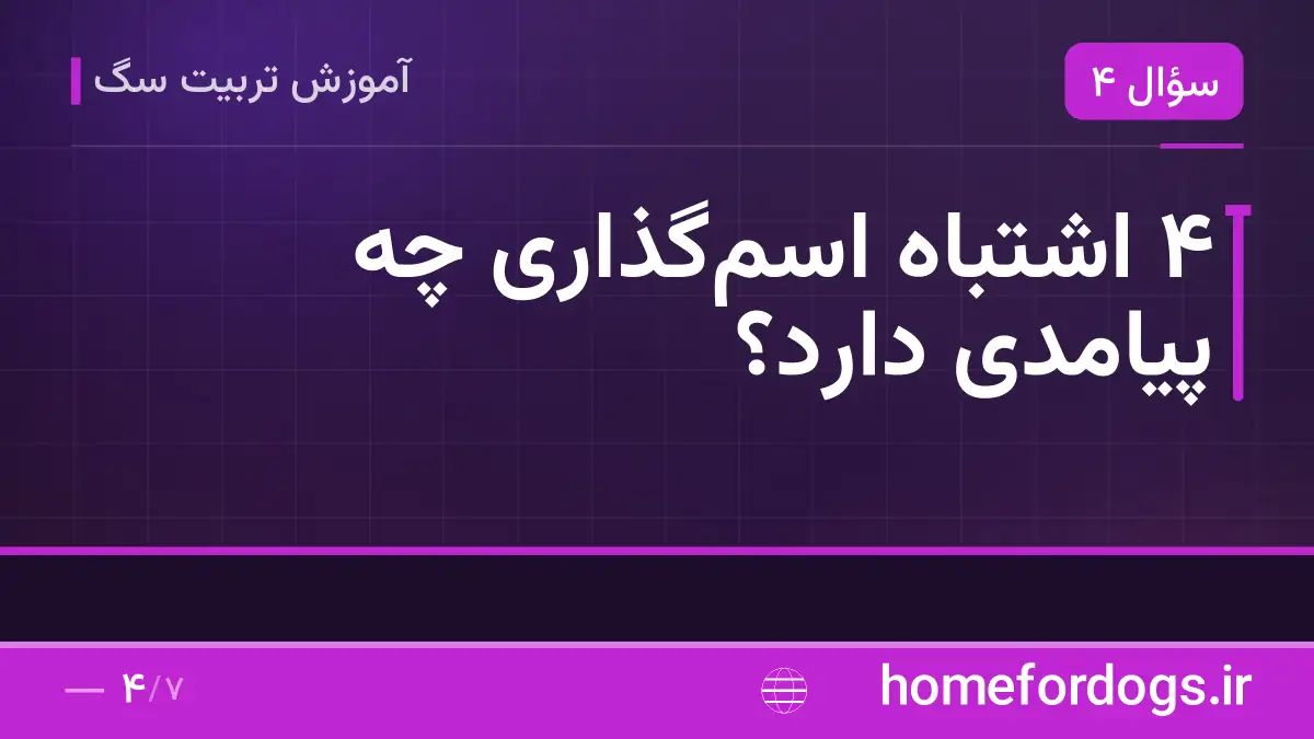 ۴ اشتباه اسم‌گذاری چه پیامدی دارد؟
