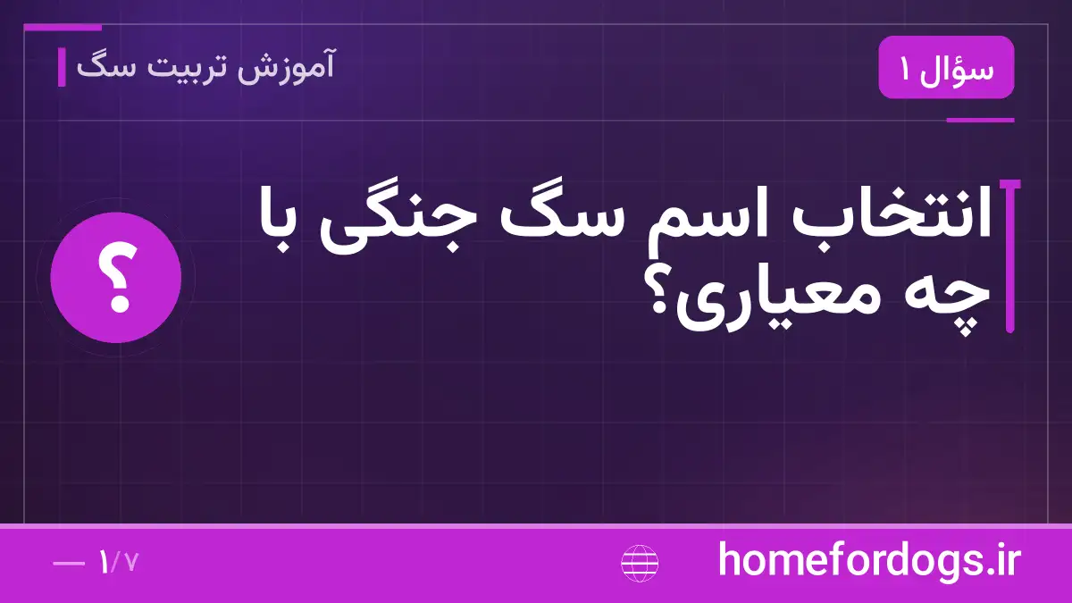 انتخاب اسم سگ جنگی با چه معیاری؟