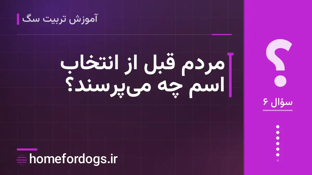 مردم قبل از انتخاب اسم چه می‌پرسند؟