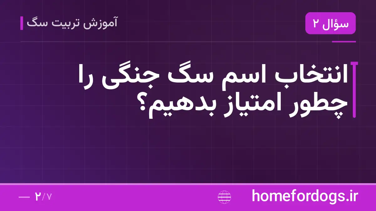 انتخاب اسم سگ جنگی را چطور امتیاز بدهیم؟