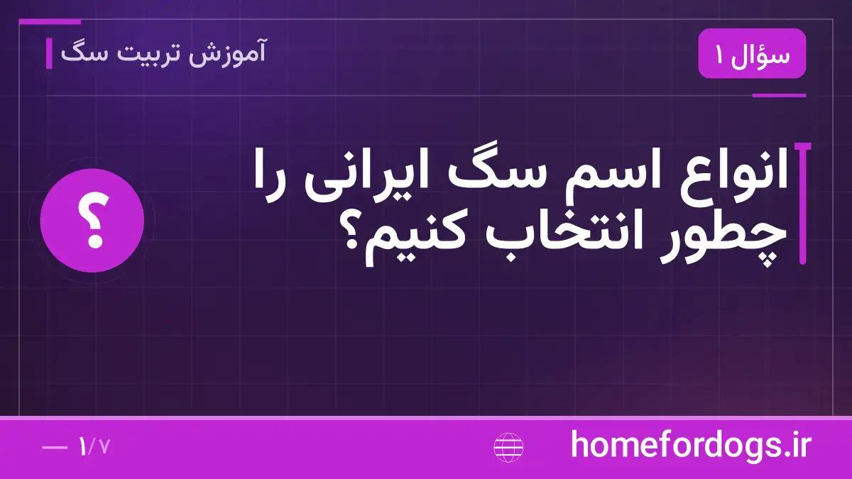انواع اسم سگ ایرانی را چطور انتخاب کنیم؟