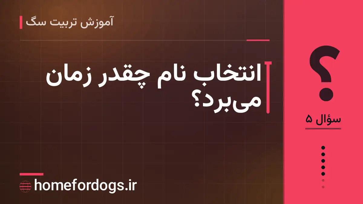 انتخاب نام چقدر زمان میبرد؟