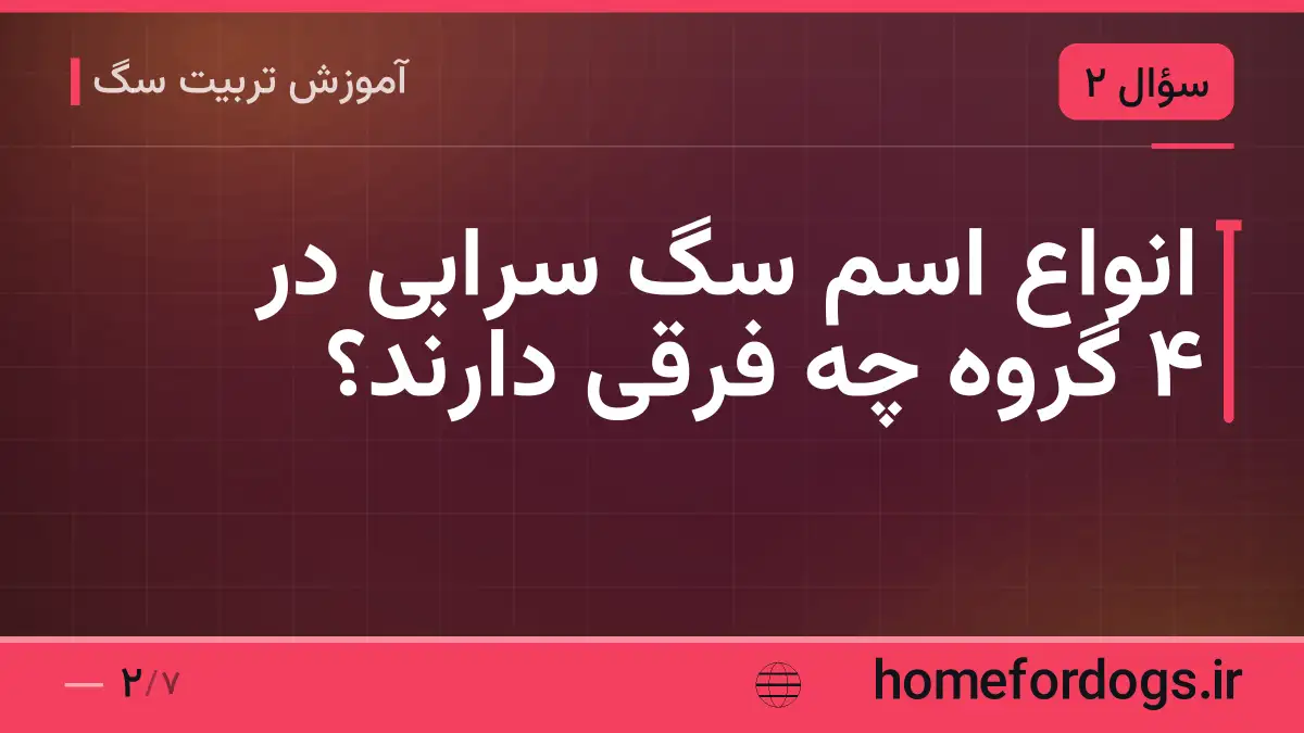 انواع اسم سگ سرابی در ۴ گروه چه فرقی دارند؟