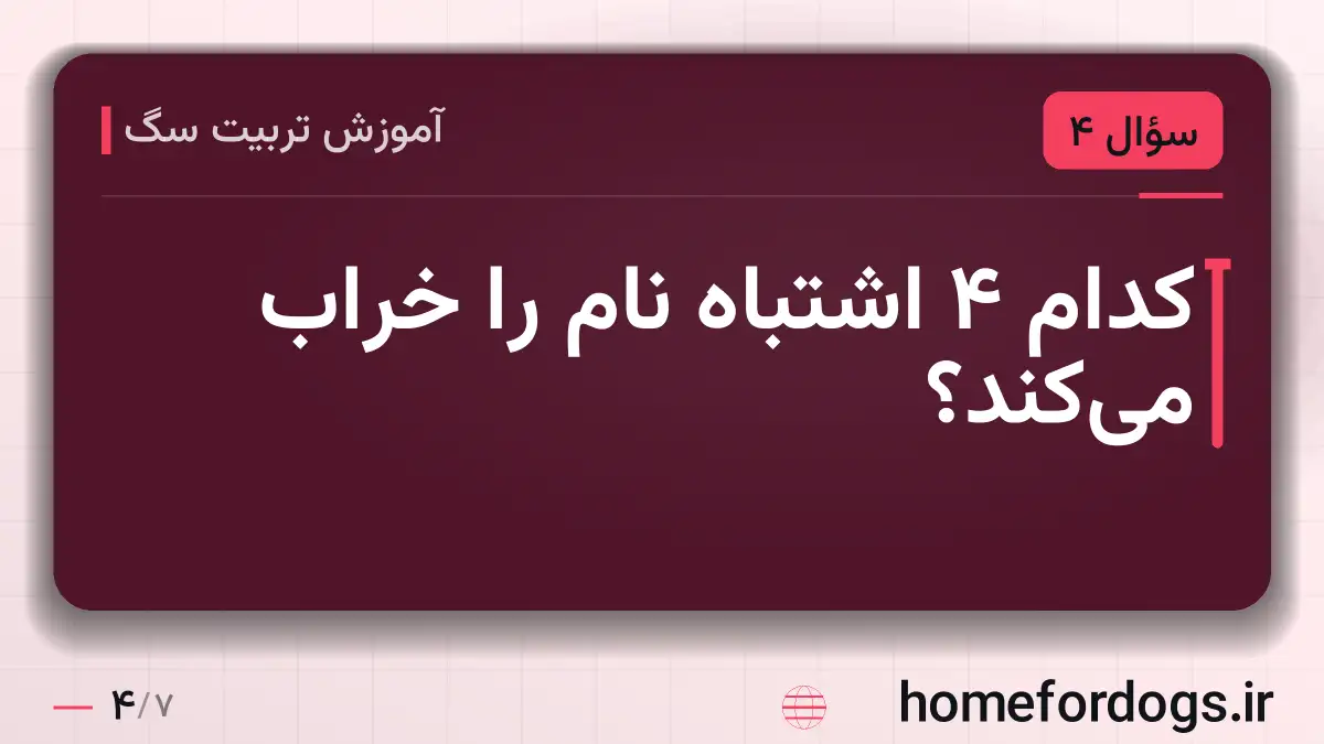 کدام ۴ اشتباه نام را خراب میکند؟