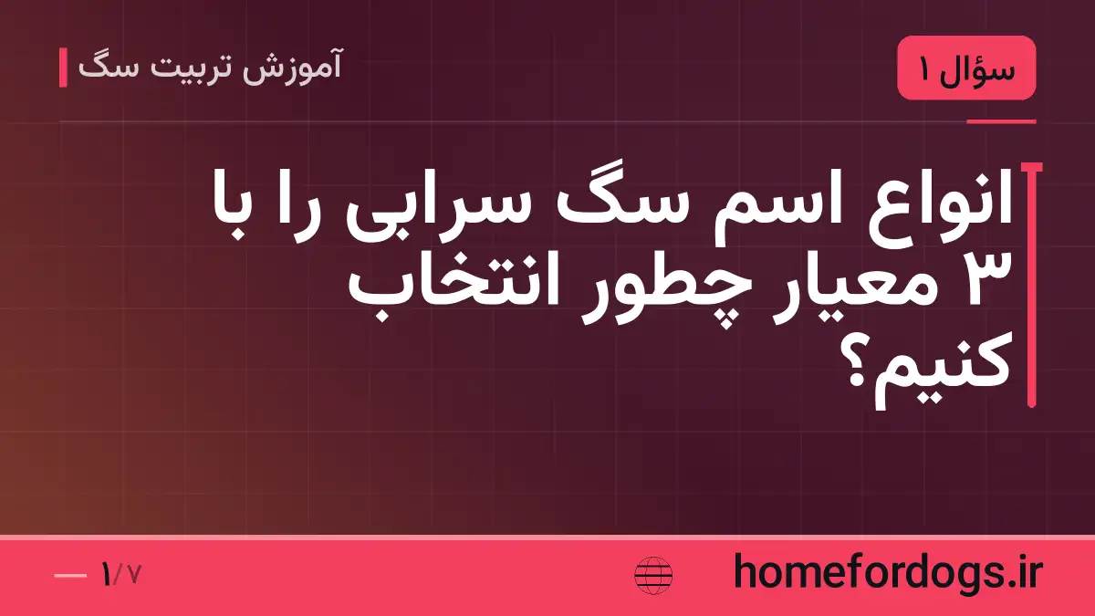 انواع اسم سگ سرابی را با ۳ معیار چطور انتخاب کنیم؟