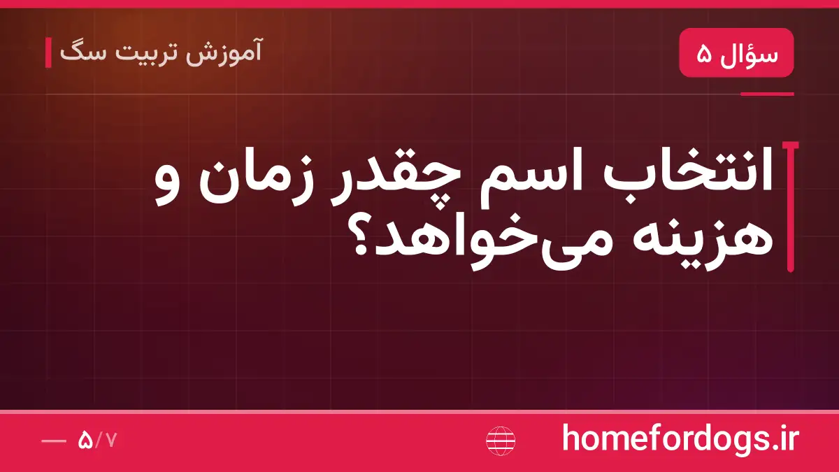 انتخاب اسم چقدر زمان و هزینه می‌خواهد؟