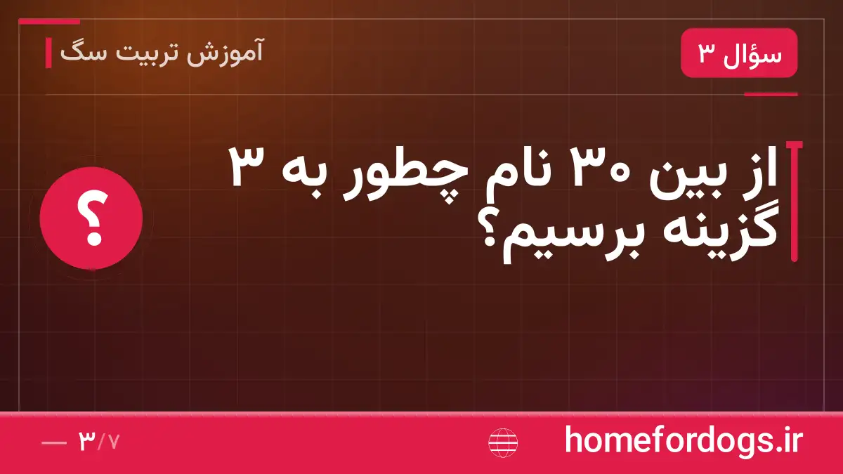 از بین ۳۰ نام چطور به ۳ گزینه برسیم؟