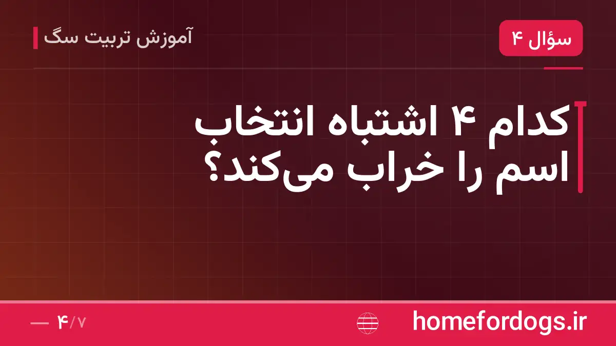 کدام ۴ اشتباه انتخاب اسم را خراب می‌کند؟