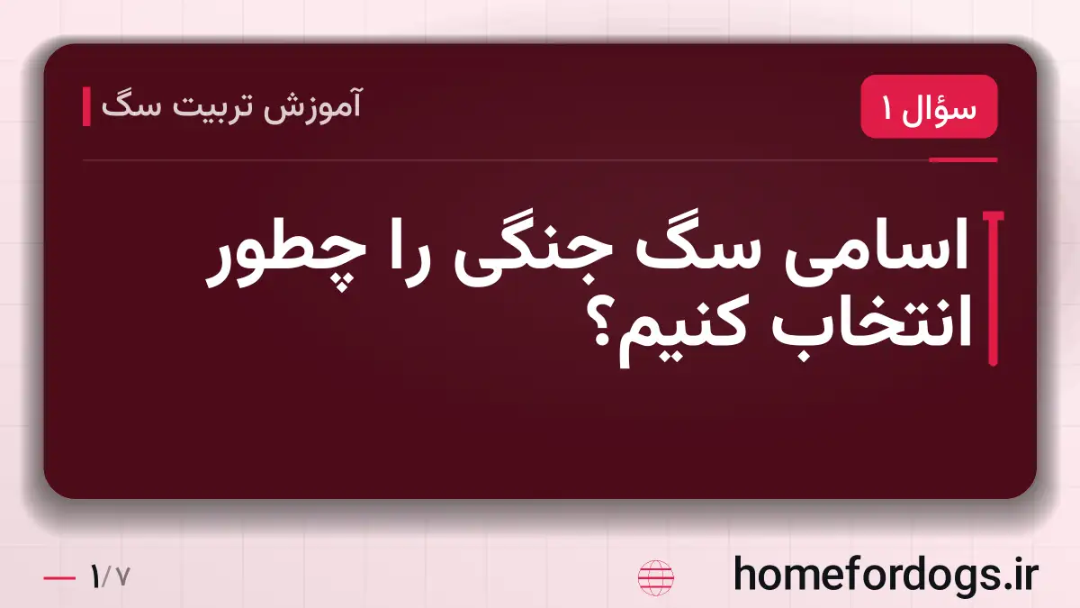 اسامی سگ جنگی را چطور انتخاب کنیم؟