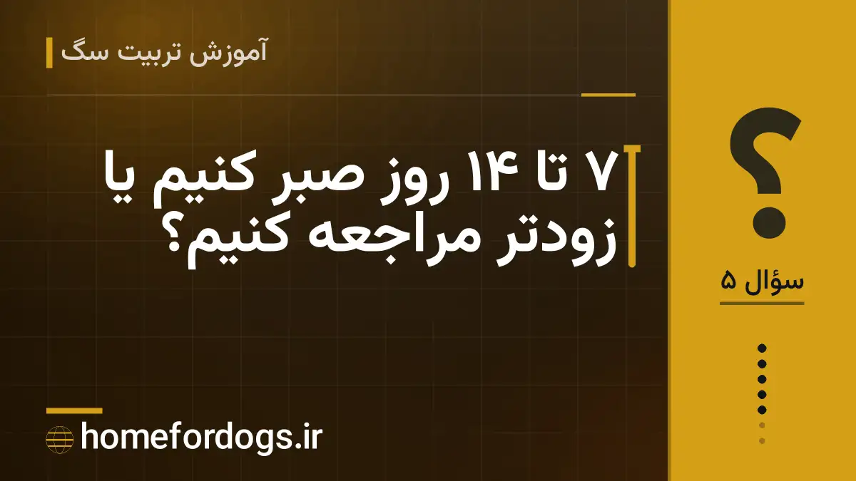۷ تا ۱۴ روز صبر کنیم یا زودتر مراجعه کنیم؟