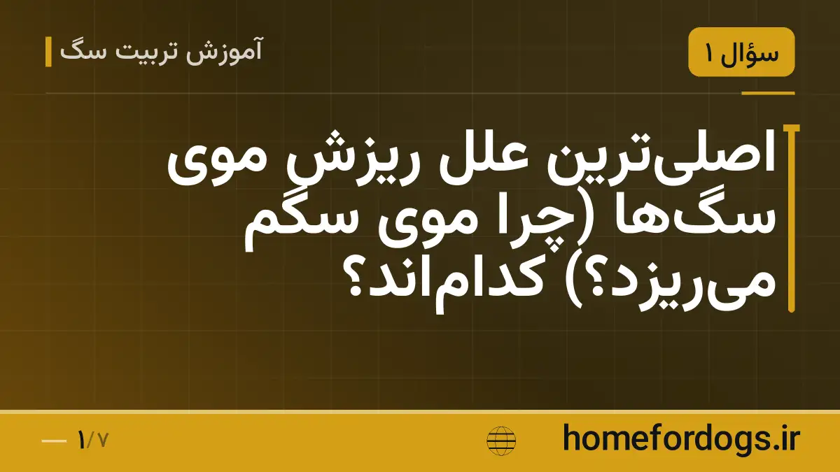 اصلی‌ترین علل ریزش موی سگ‌ها (چرا موی سگم می‌ریزد؟) کدام‌اند؟