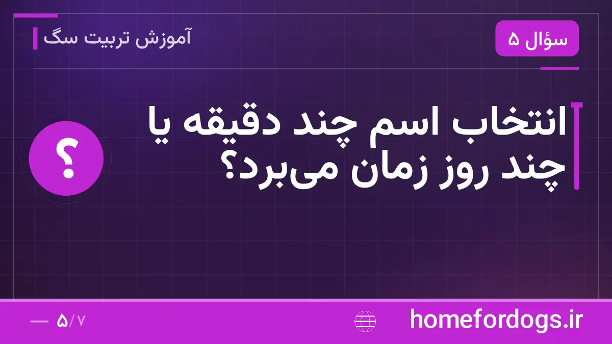 انتخاب اسم چند دقیقه یا چند روز زمان می‌برد؟