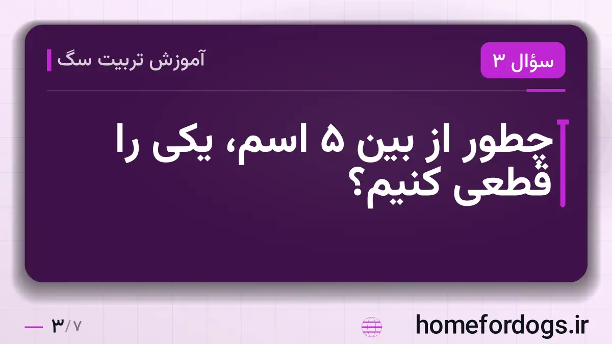 چطور از بین ۵ اسم، یکی را قطعی کنیم؟