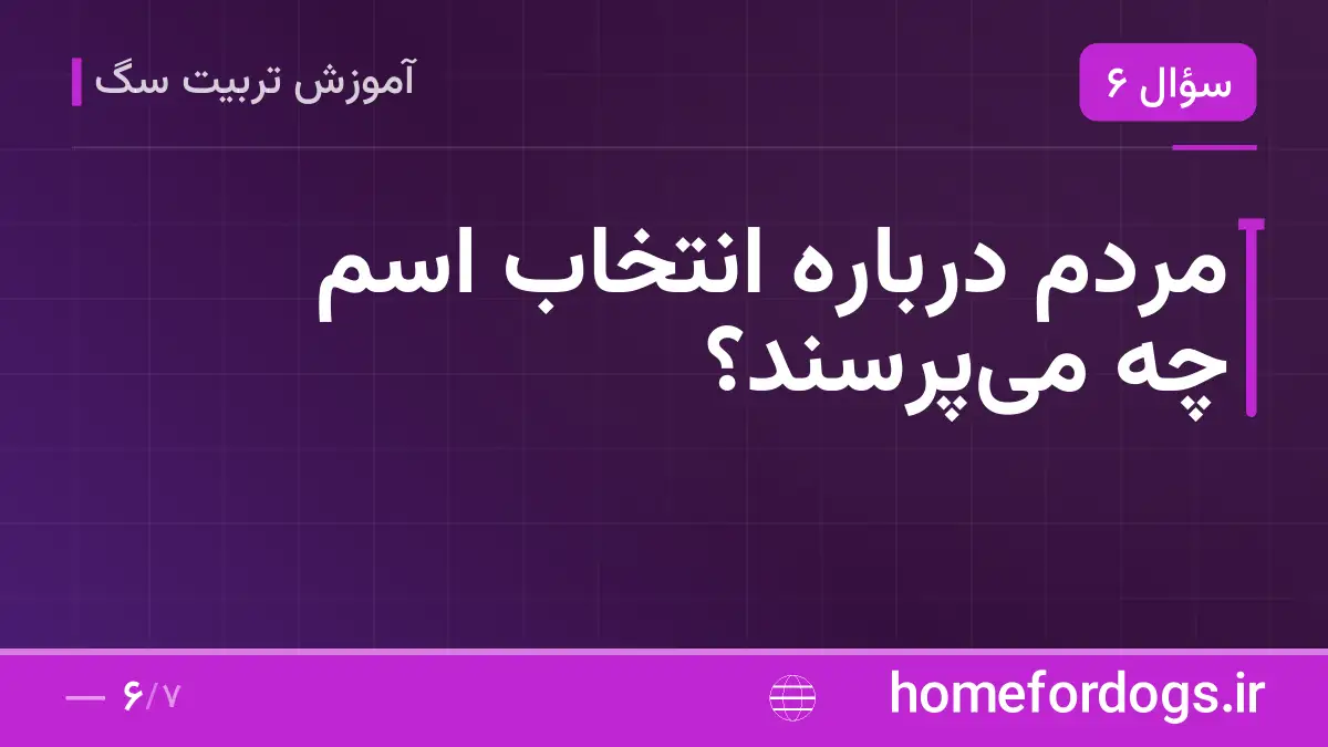 مردم درباره انتخاب اسم چه می‌پرسند؟