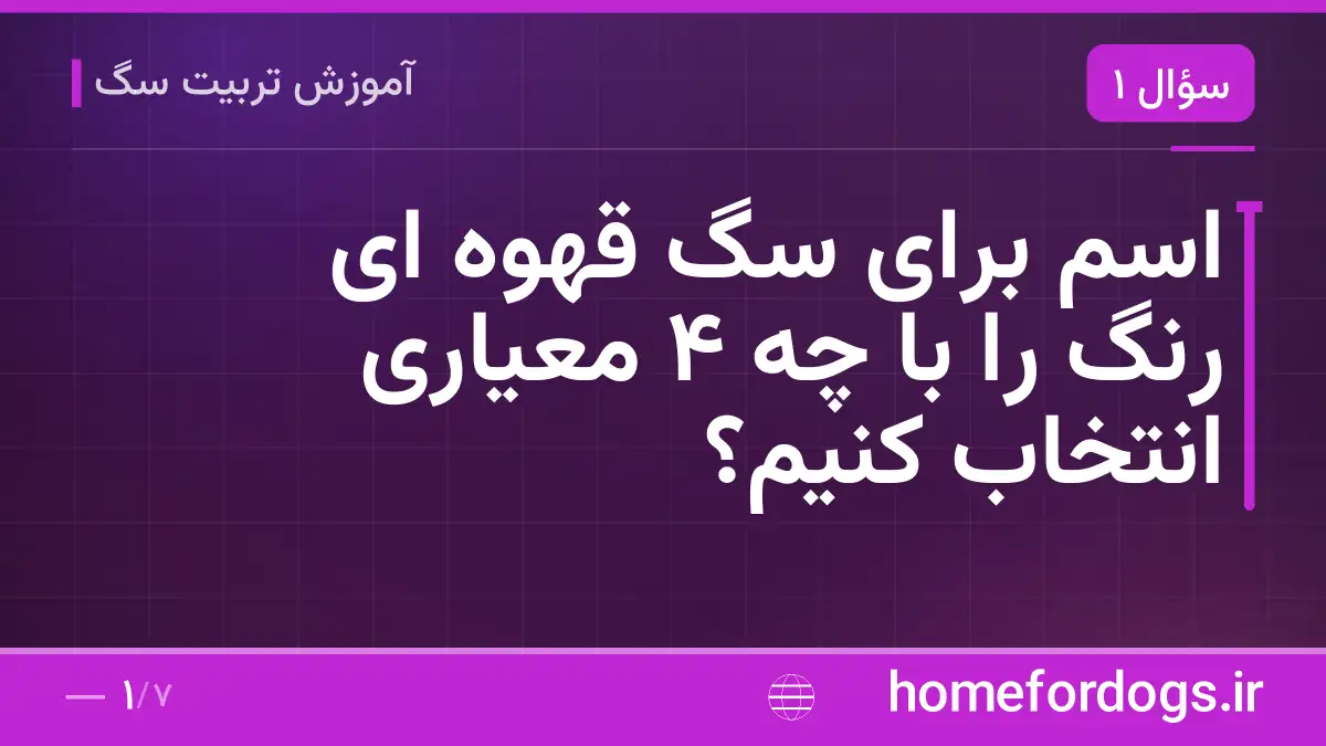 اسم برای سگ قهوه ای رنگ را با چه ۴ معیاری انتخاب کنیم؟