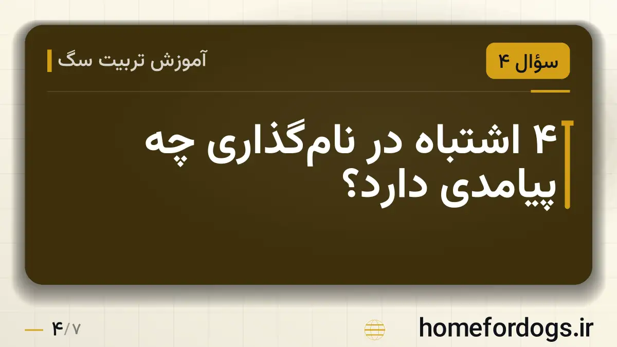 ۴ اشتباه در نام‌گذاری چه پیامدی دارد؟