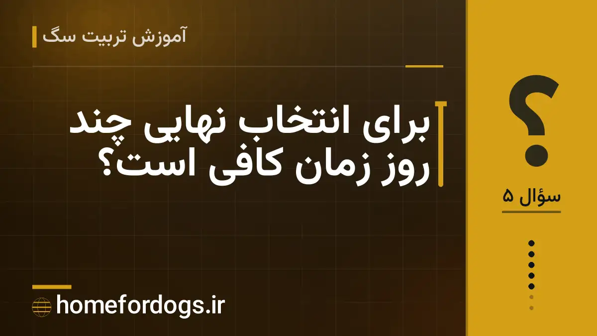 برای انتخاب نهایی چند روز زمان کافی است؟