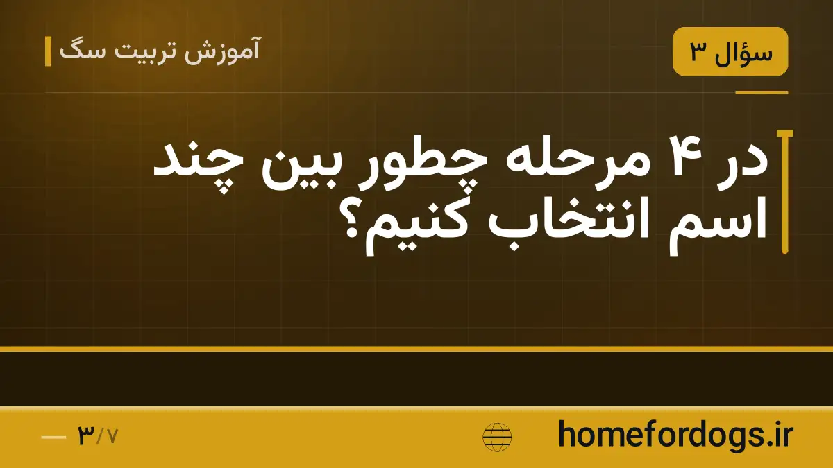 در ۴ مرحله چطور بین چند اسم انتخاب کنیم؟