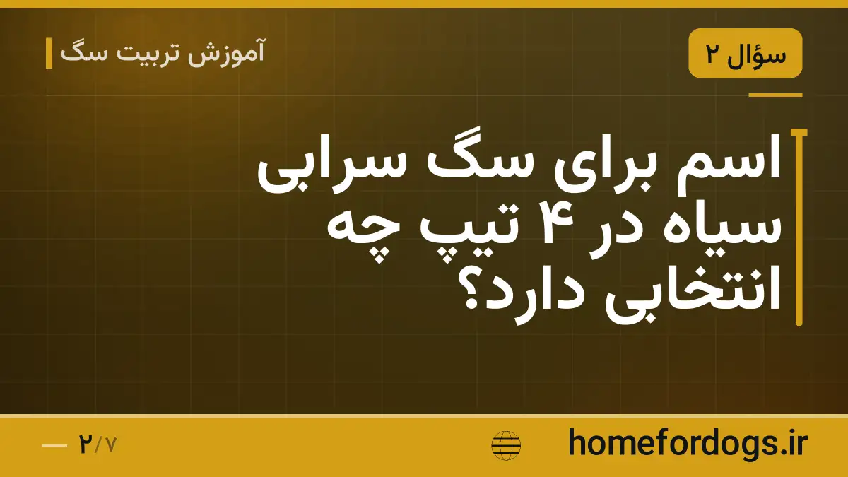 اسم برای سگ سرابی سیاه در ۴ تیپ چه انتخابی دارد؟