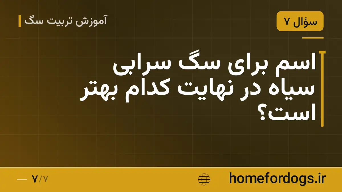اسم برای سگ سرابی سیاه در نهایت کدام بهتر است؟
