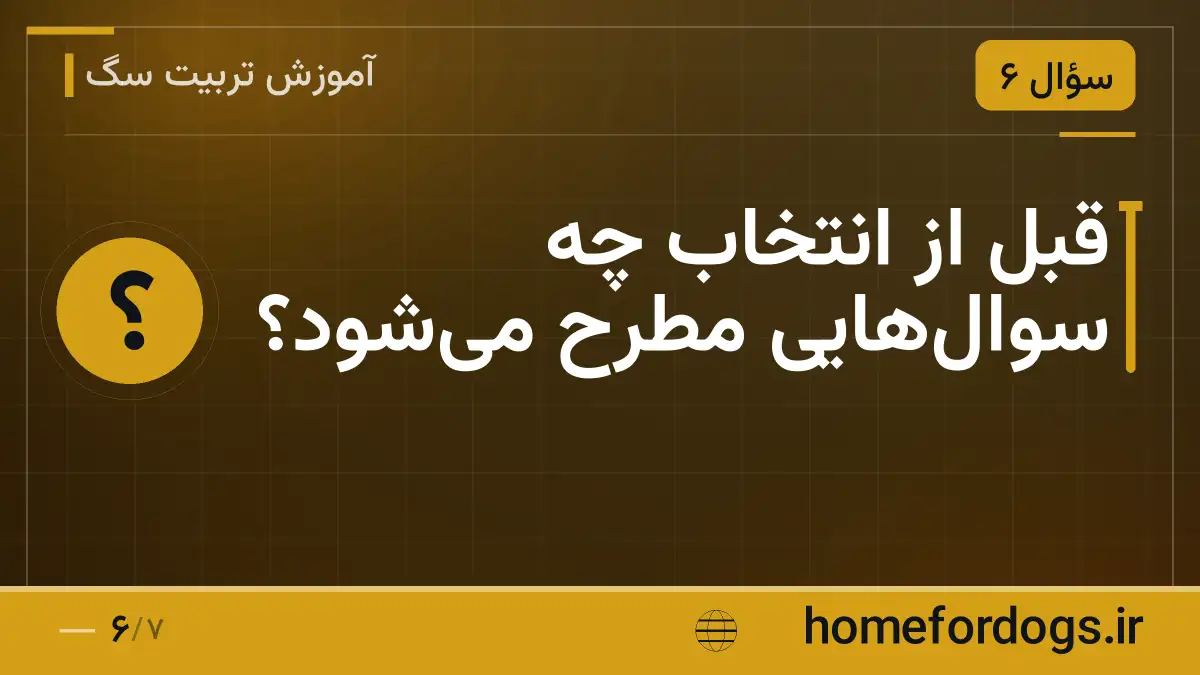 قبل از انتخاب چه سوال‌هایی مطرح می‌شود؟