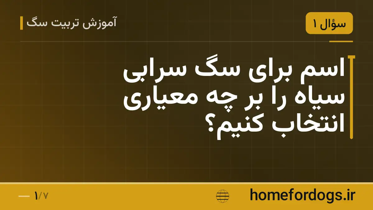 اسم برای سگ سرابی سیاه را بر چه معیاری انتخاب کنیم؟
