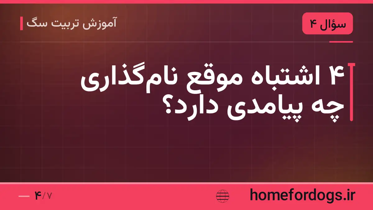 ۴ اشتباه موقع نامگذاری چه پیامدی دارد؟