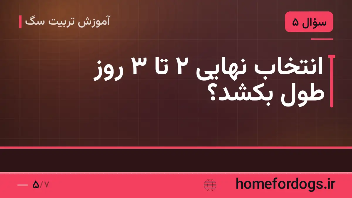انتخاب نهایی ۲ تا ۳ روز طول بکشد؟