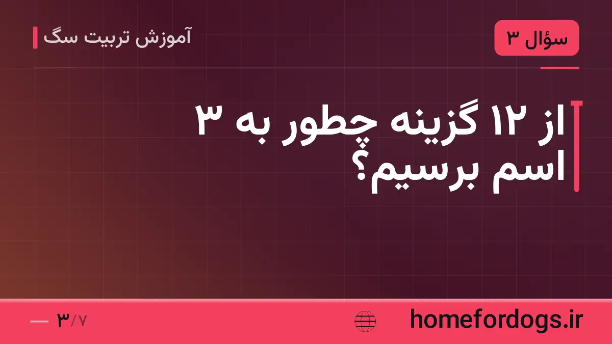 از ۱۲ گزینه چطور به ۳ اسم برسیم؟